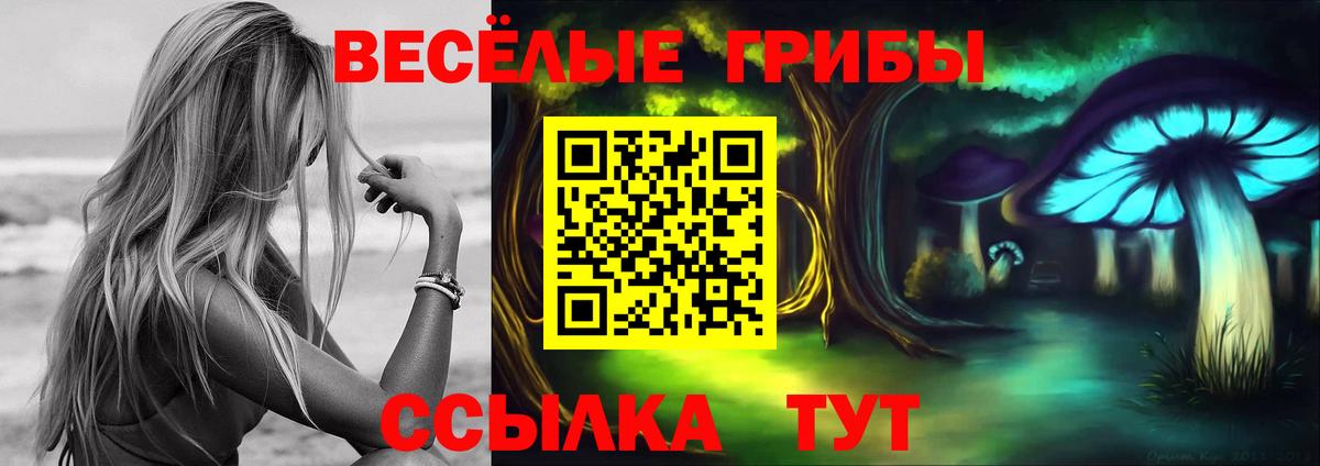 Тихвин  Псилоцибиновые грибы Psilocybine cubensis  Галлюциногенные грибы мицелий  Вход с VPN 