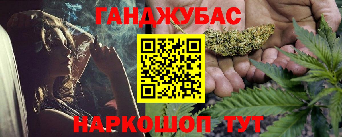 Каннабис сатива Тихвин